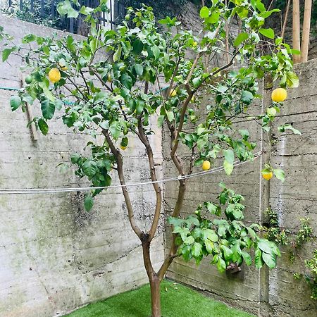 Lemon Tree Resort - Freeparking - Garden Генуя Экстерьер фото